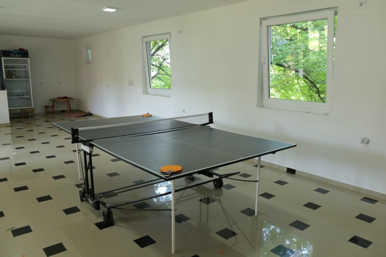 Apartmani "Roshu" Soko Banja Εξωτερικό φωτογραφία